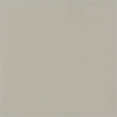 Панель 18мм, 1220*2800мм, Опал милкшейк, супермат, 2х-сторонняя EVS016/3013 Росси EVS016/3013 47567 - фото 65101