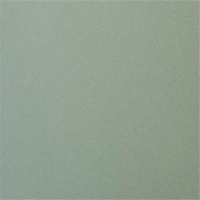 Панель 10мм, 1220*2800мм, soft touch матовый мята P010. Россия P010 (10) 47519 - фото 65251