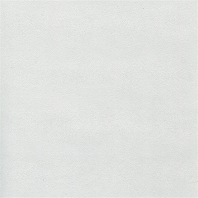 R-3 СТОЛЕШНИЦА Белый ГЛЯНЕЦ №010, 3000х600х38мм СКИФ №010 R-3 Глянец 47987 - фото 67354