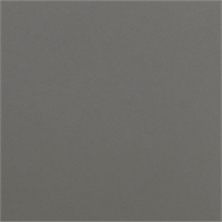 Панель 10мм, 1220*2800мм, soft touch матовый серая буря P004. Россия P004 (10) 47522