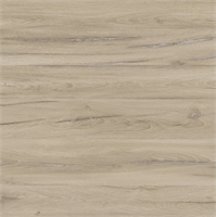 СТОЛЕШНИЦА Дуб Флагстаф светлый, тис-Ф №121, 3000х600х38 СКИФ №121 47277