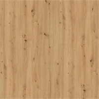 СТОЛЕШНИЦА 4100х600х38 Дикий дуб натуральный H1318 ST10 (влаг) MOD300/3 Эггер W2 Россия ЭГГЕР H1318 ST10 MOD300/3 47967